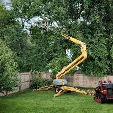 Lawn Watering Services in Sewanee, TN