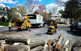 Best Tree Maintenance Programs  in Sewanee, TN