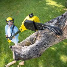 Best Pest Control for Lawns  in Sewanee, TN